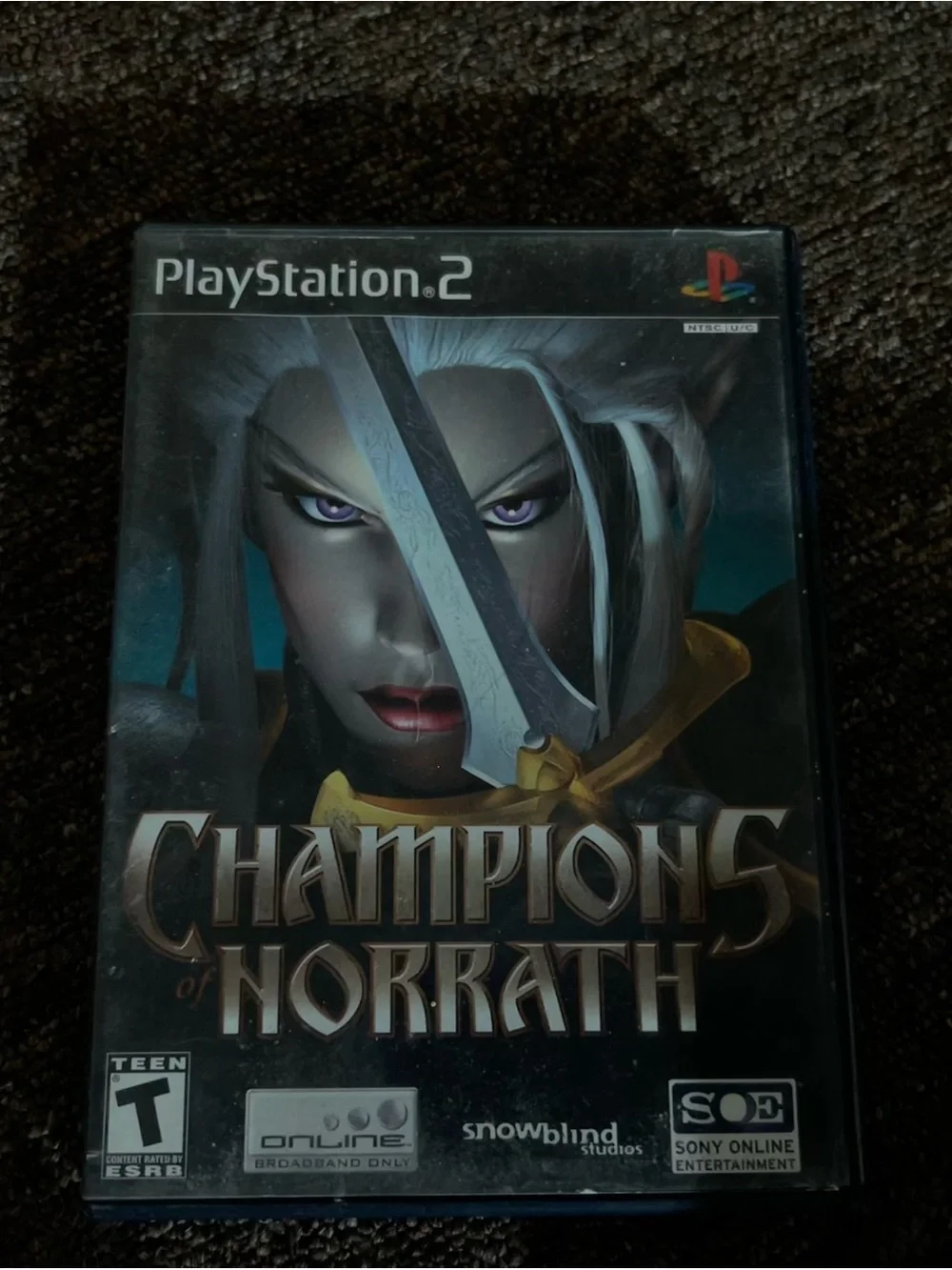Champions of Norrath PS2 Game Case with Disc - Dark Fantasy Art